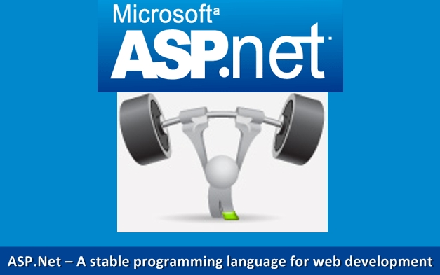 asp.net development services