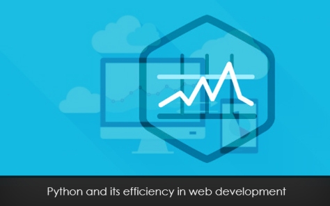 Python and its efficiency in web development